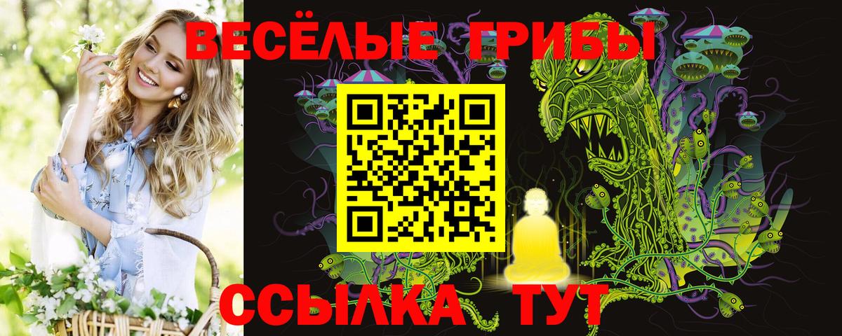 Псилоцибиновые грибы Psilocybe Медногорск